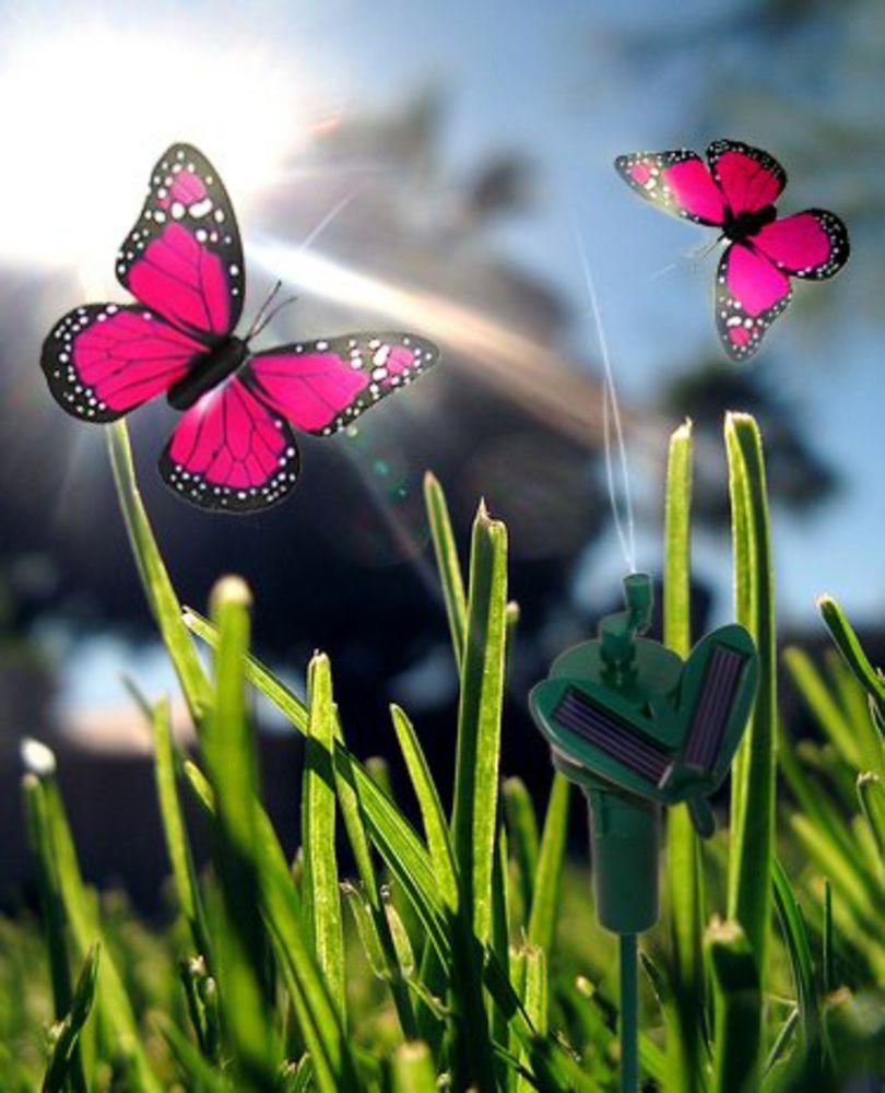 ������� �� ��������� ��������