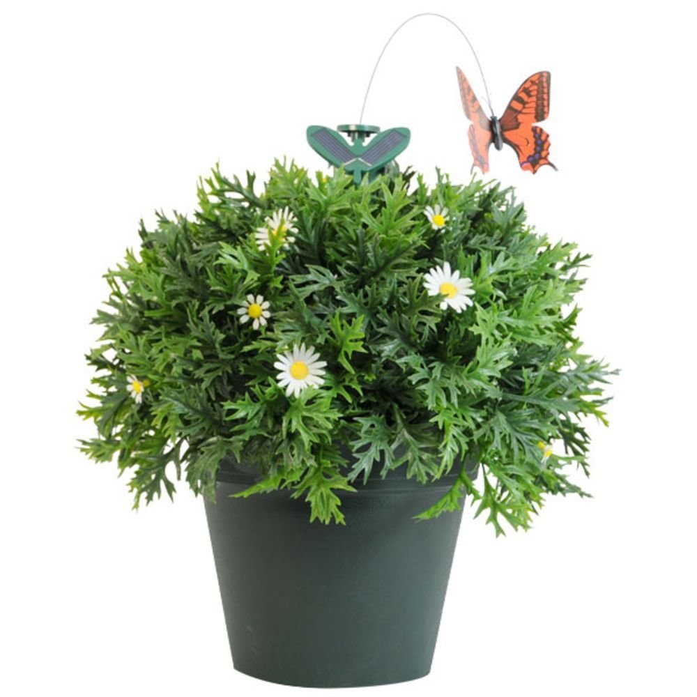 ������� �� ��������� ��������