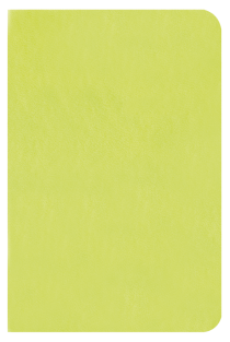 �������� ������ "Kline" ������-�������� �����