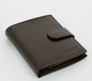 �������� S.Quire, ����������� ������� ����, ����������, �������, 11,5�9��