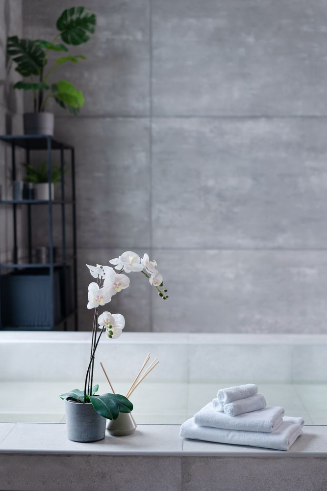 �������� ��� ��� For Rooms, �����