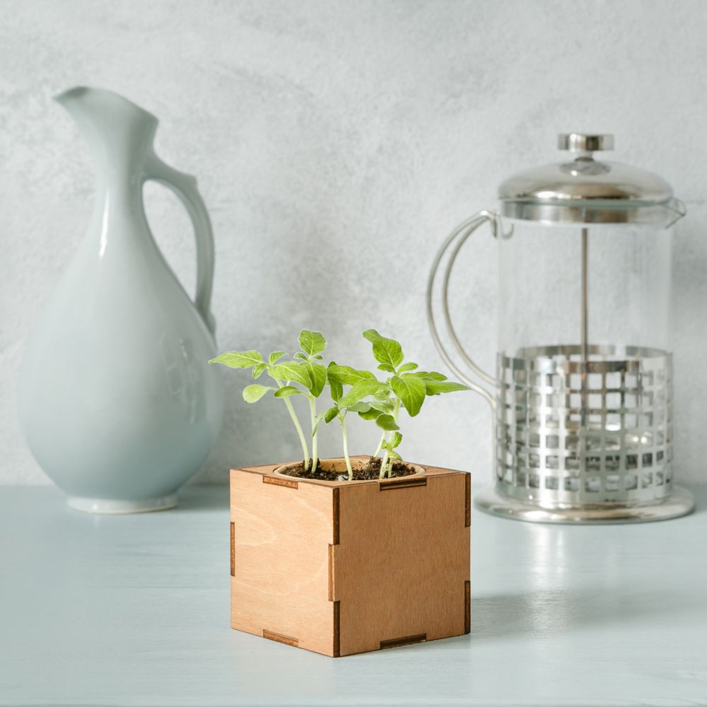 ����� ��� ����������� ������� Lite�, ��� �������