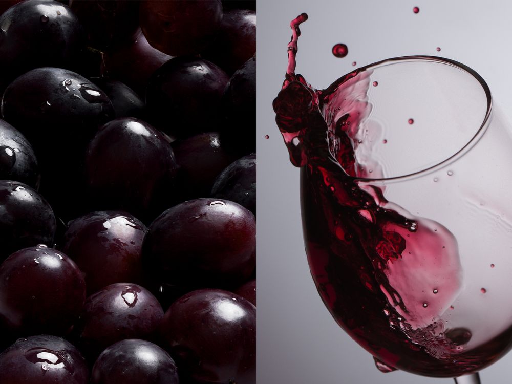 ����� ��� ���� ��������