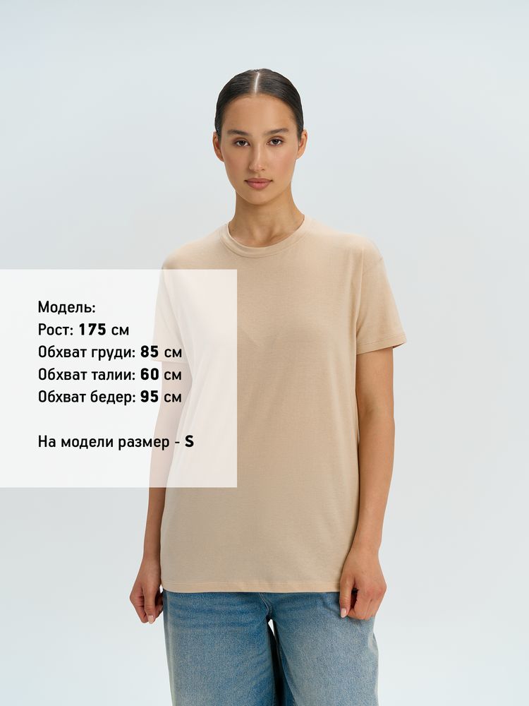 �������� REGENT 150, ��������