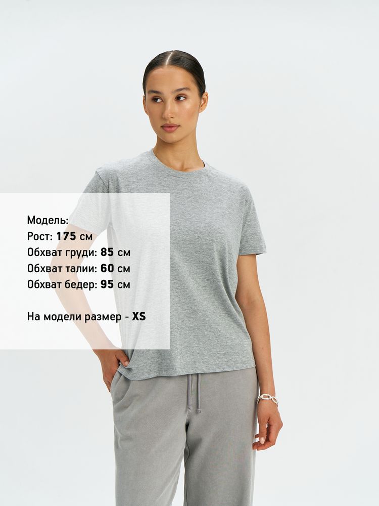 �������� REGENT 150, ������ ������