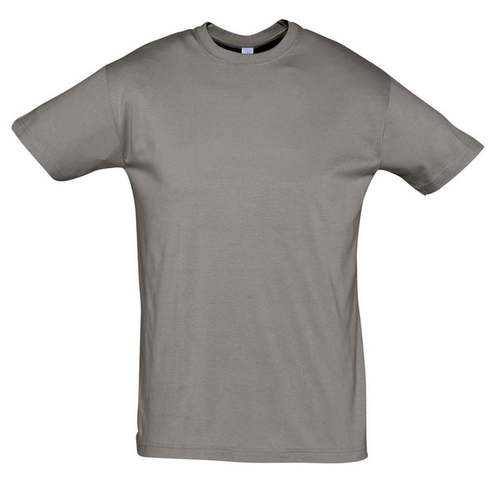 �������� REGENT 150, ��������