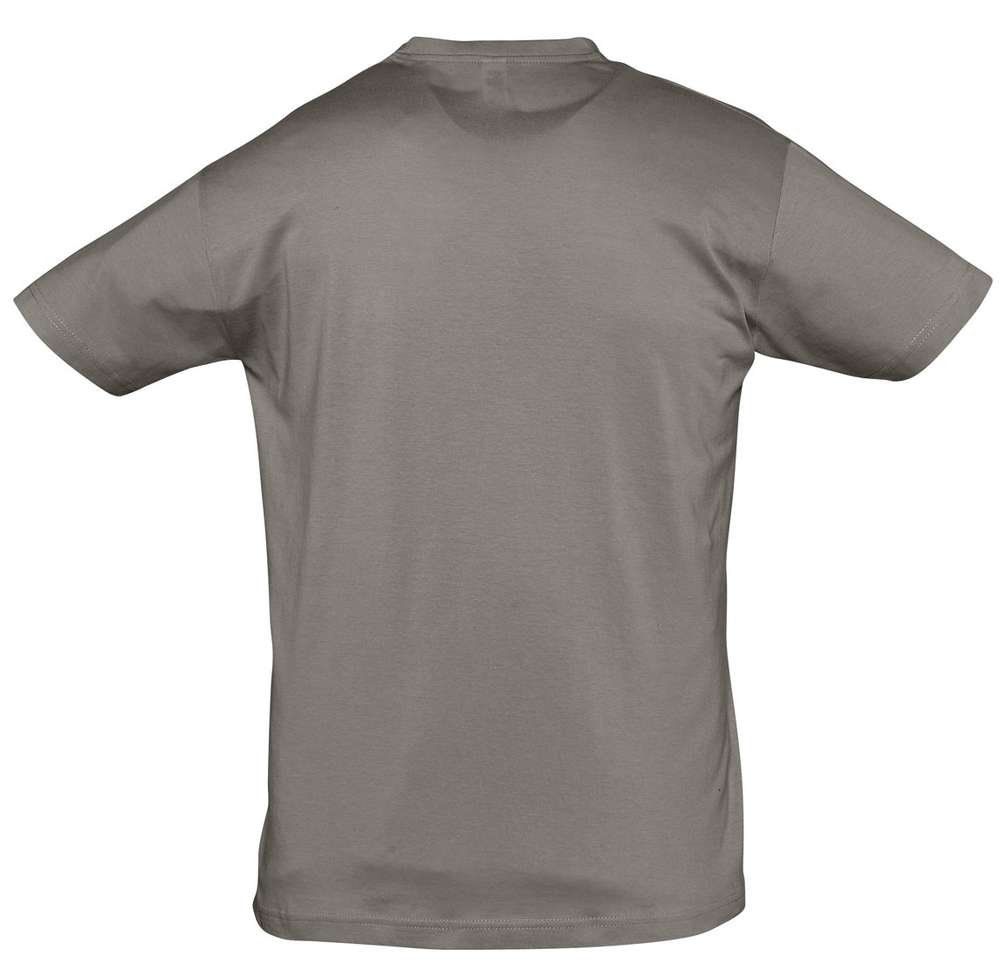 �������� REGENT 150, ��������