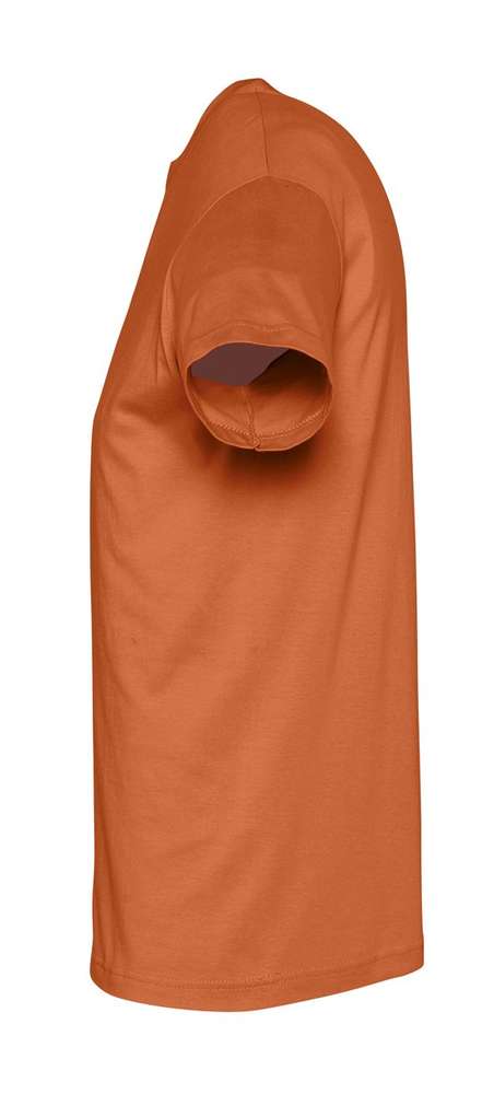 �������� REGENT 150, ���������