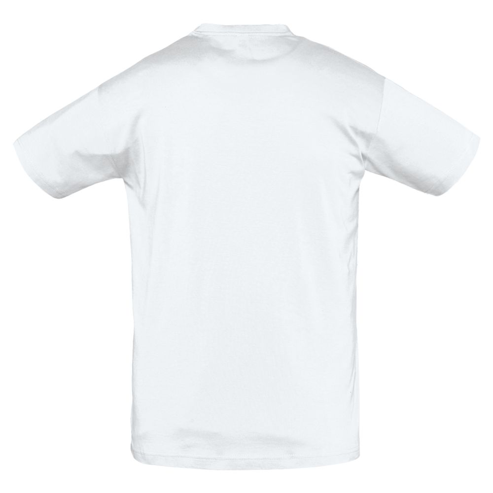 �������� ������� REGENT 150, �����