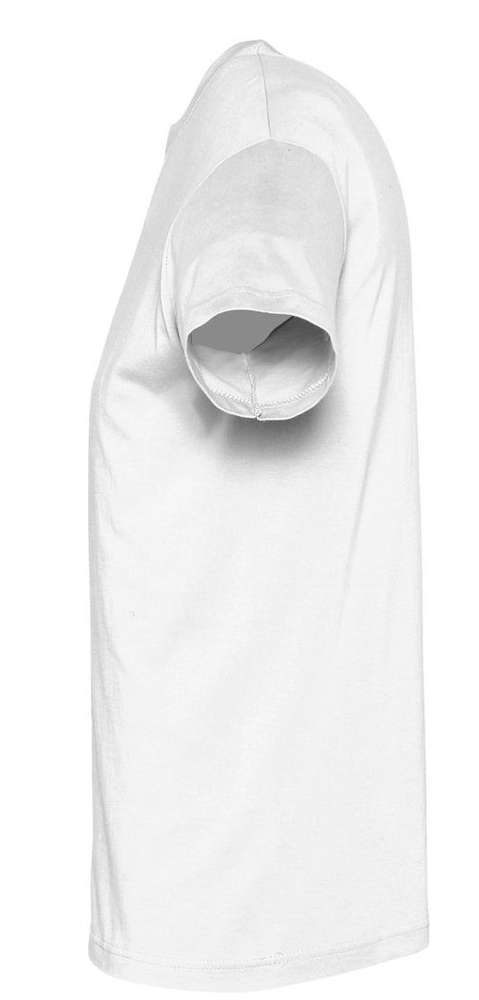 �������� ������� REGENT 150, �����