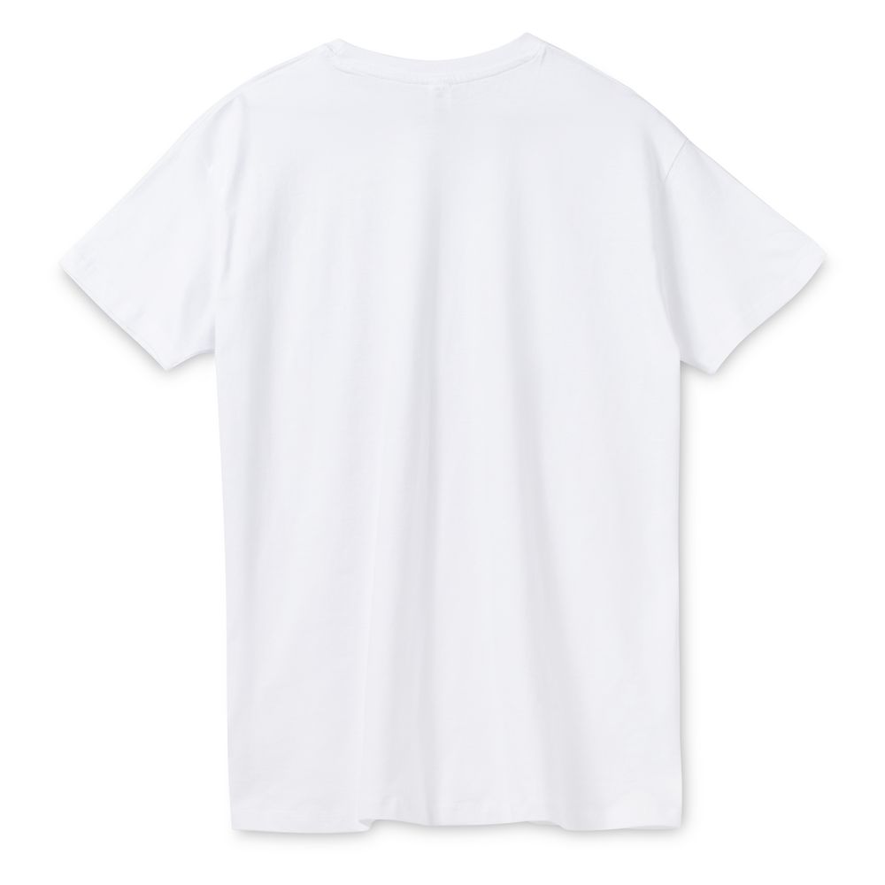 �������� ������� REGENT 150, �����