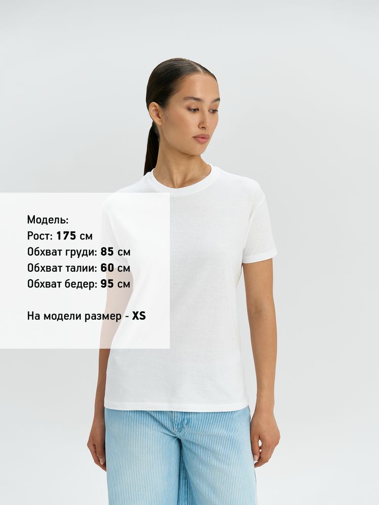 �������� REGENT 150, �������-�������