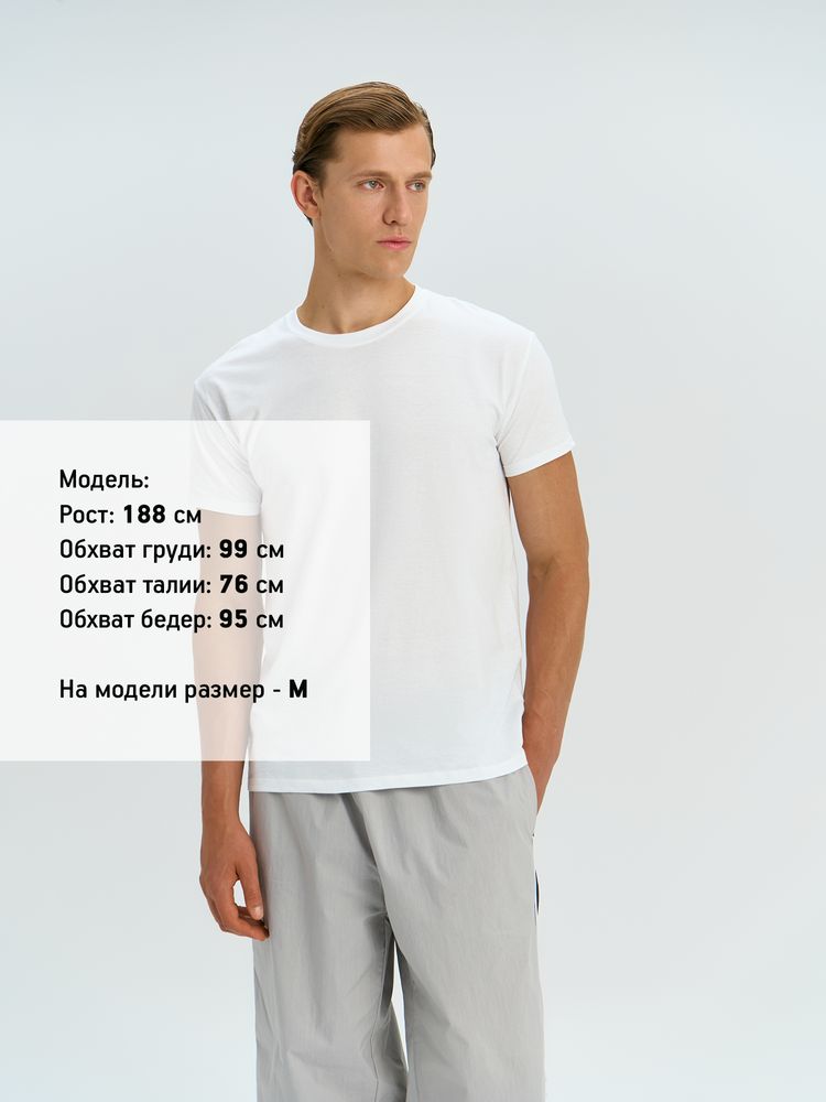 �������� REGENT 150, �������-�������