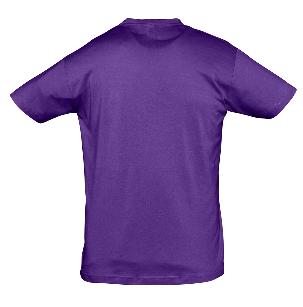 �������� REGENT 150, ����������