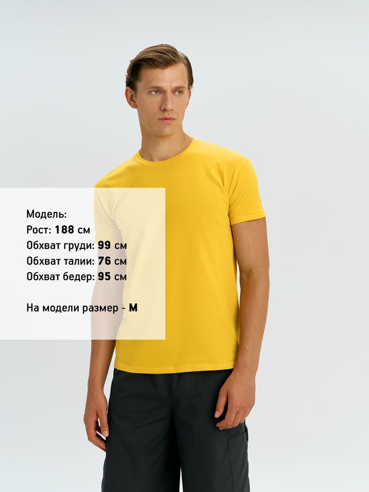 �������� REGENT 150, ������