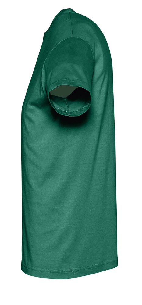 �������� REGENT 150, ����������