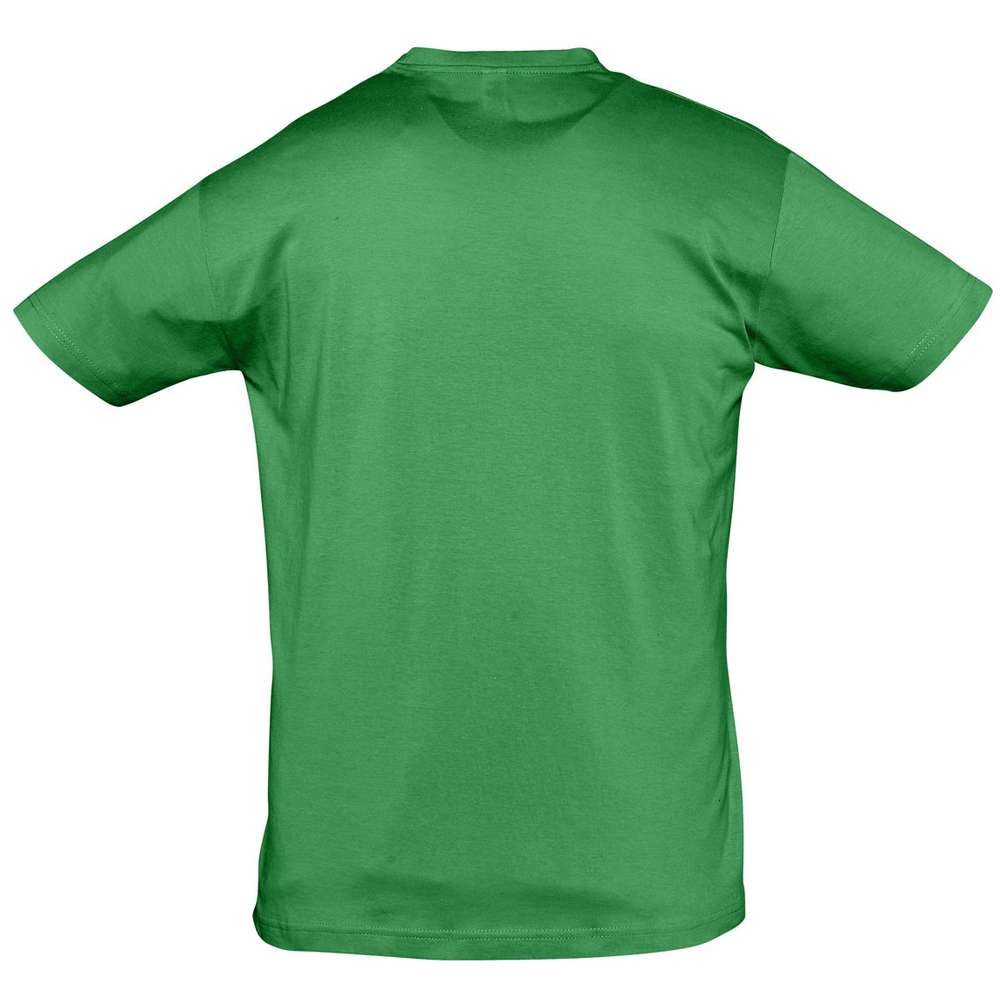 �������� REGENT 150, ����-�������