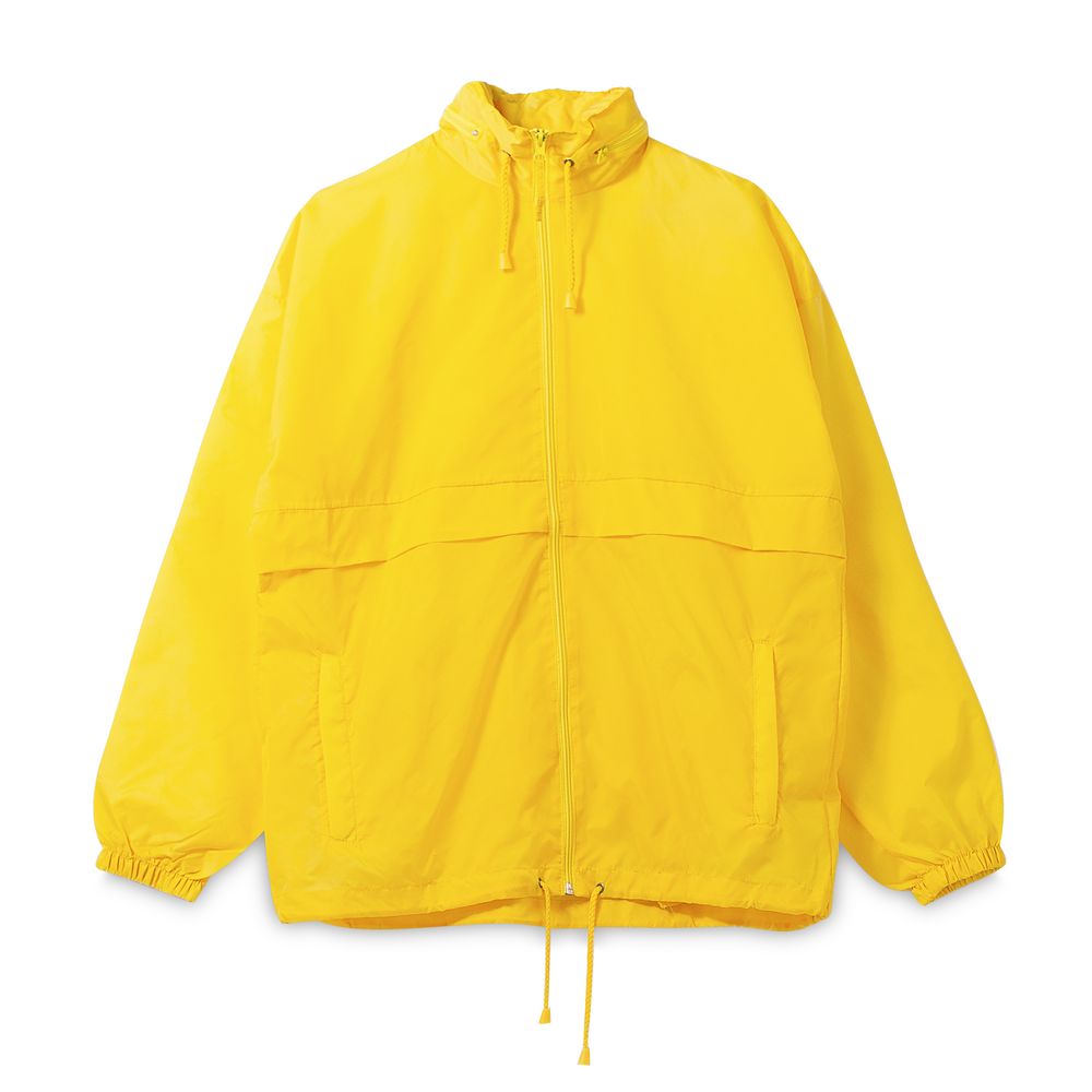 �������� SURF 210, ������