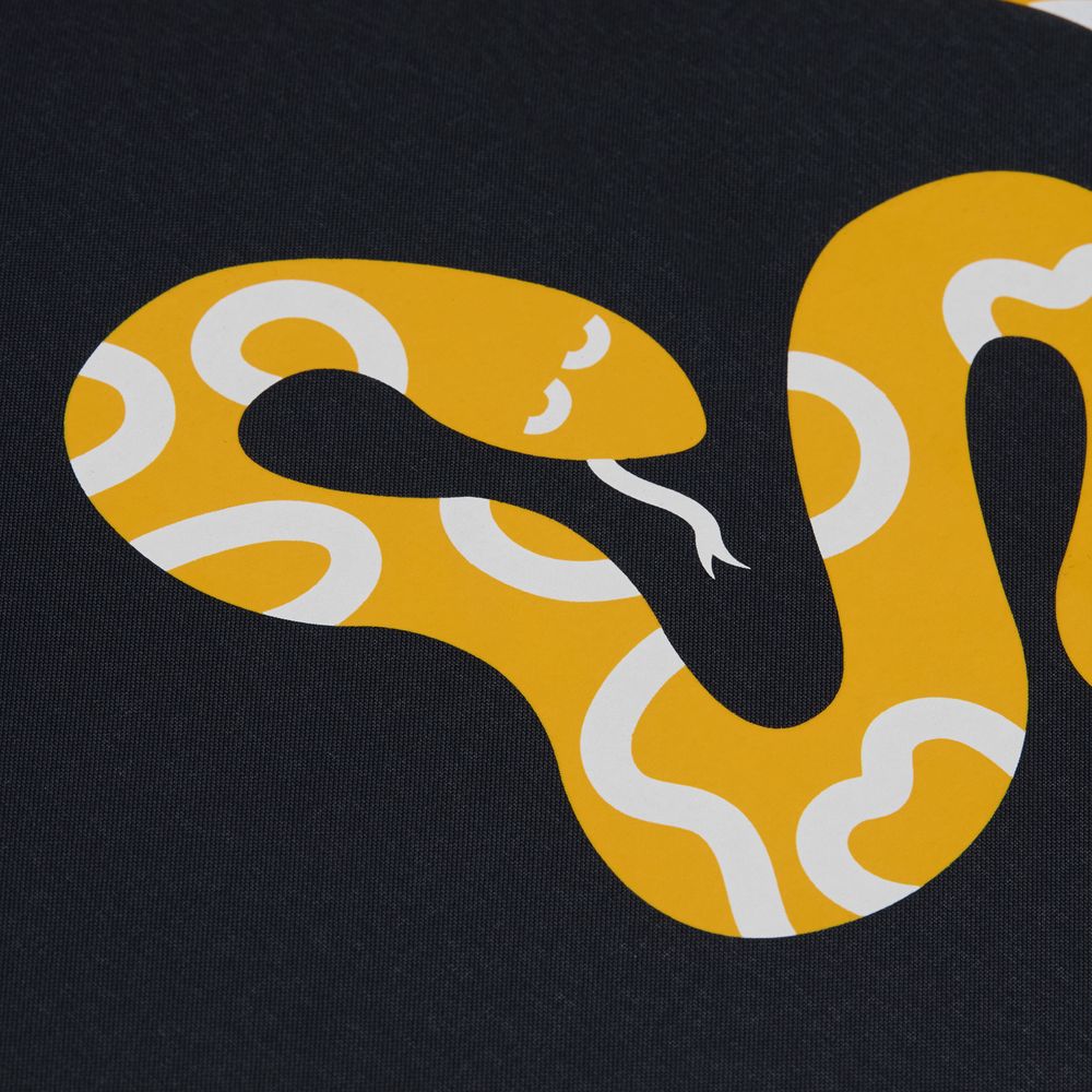 ���� Alessio, ������