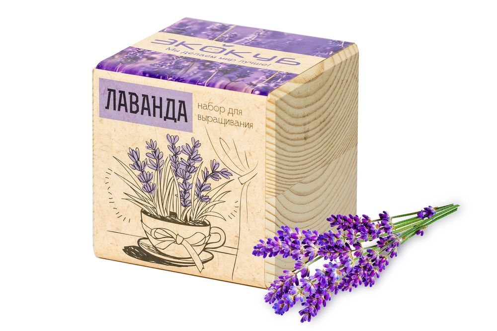 ����� ��� ����������� �������, �������