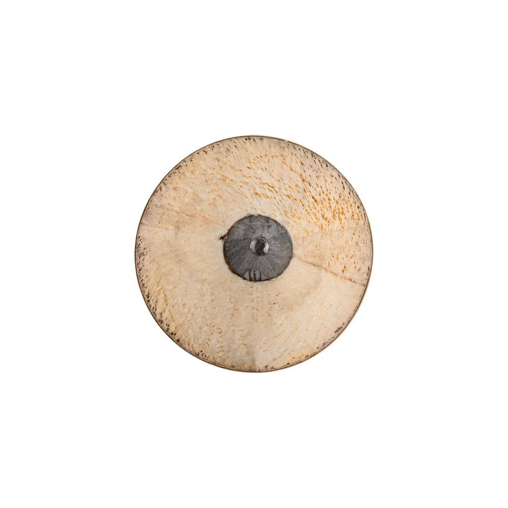 �������� �������, �������, ����������