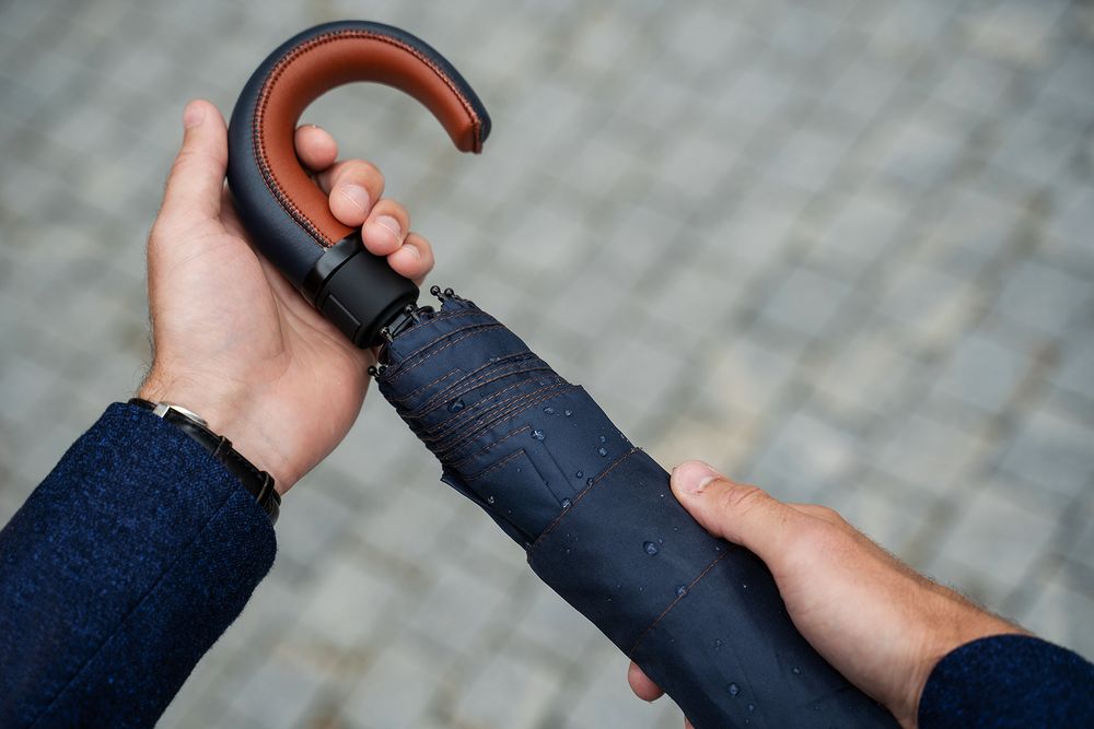 ���� Palermo, �����