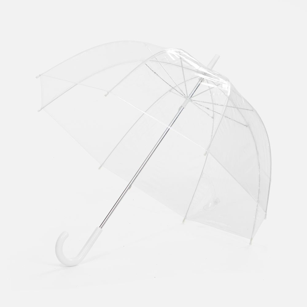 ���� ����������