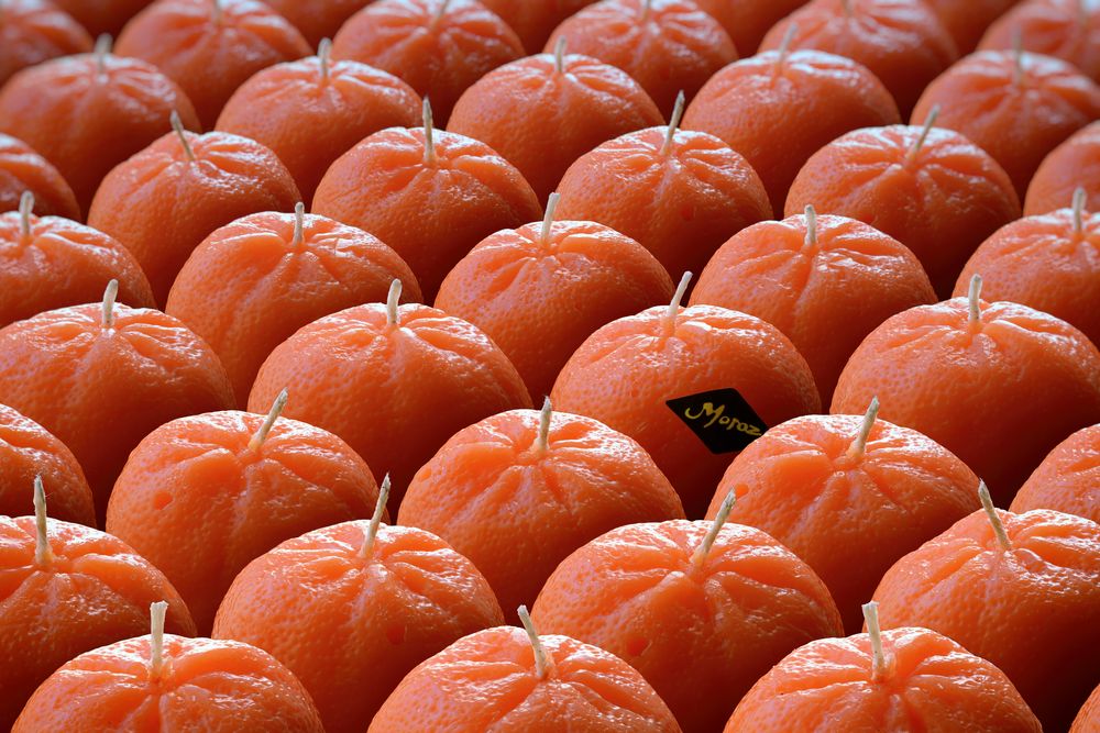 ����� "��������"