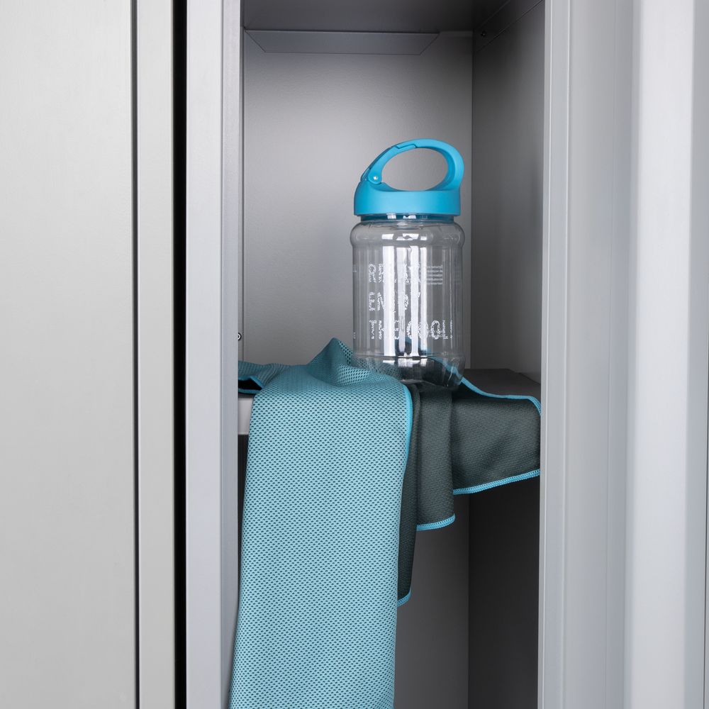 ����������� ��������� Weddell, �������