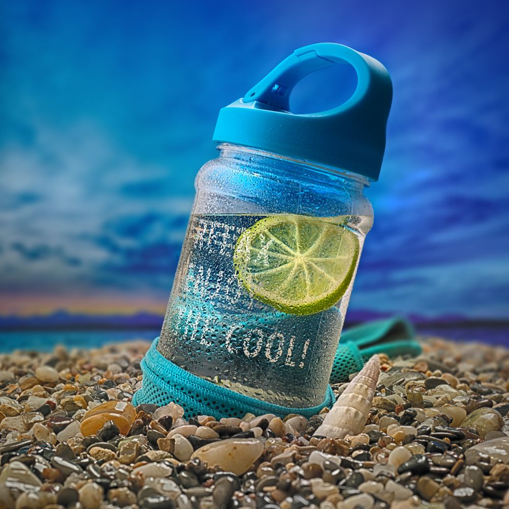 ����������� ��������� Weddell, �������