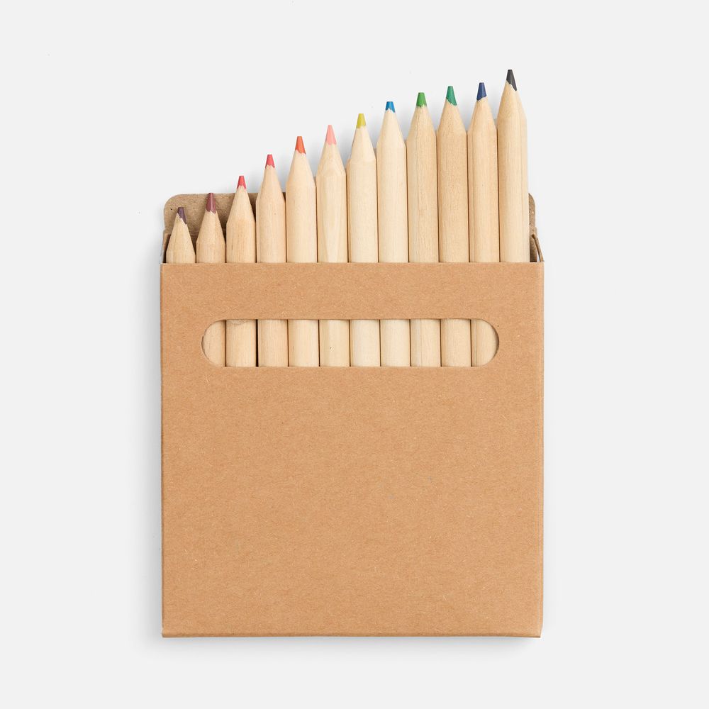 ����� ���������� Pencilvania Middle