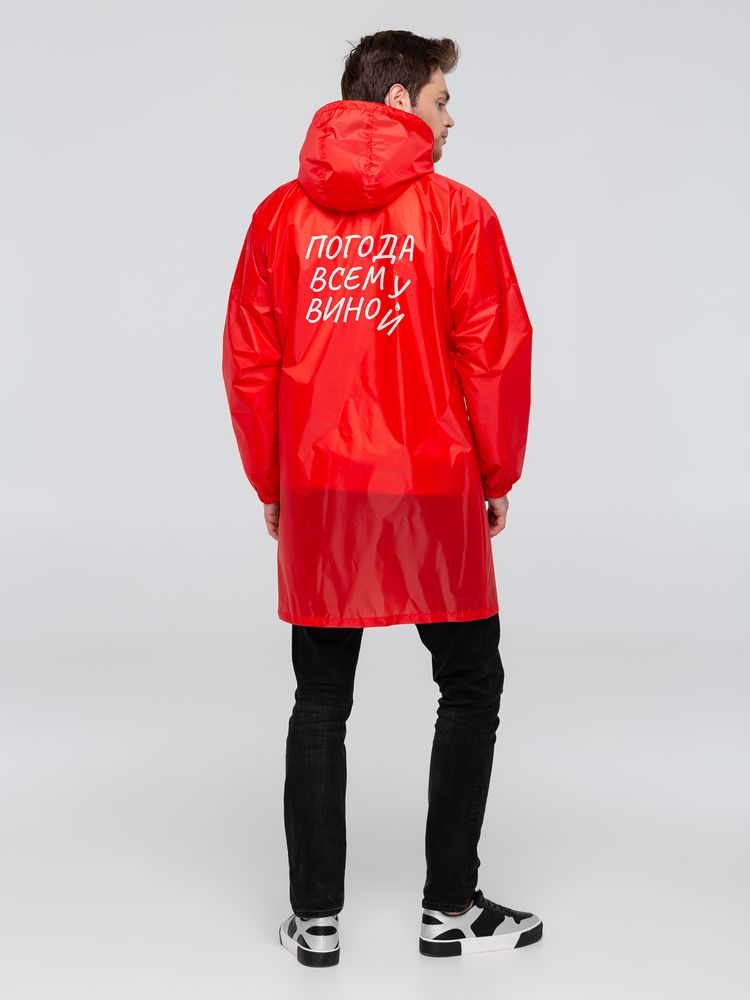 �������� ������� ���� ����, �������