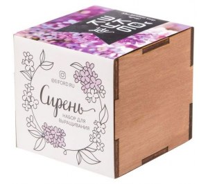 ����� ��� ����������� ������� Lite�, ������