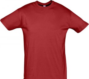 �������� REGENT 150, �������-�������