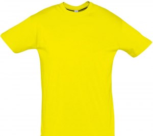 �������� REGENT 150, ������ (��������)