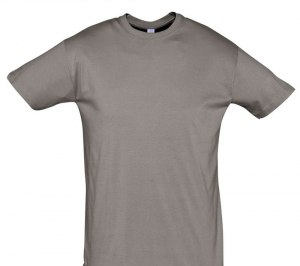 �������� REGENT 150, ��������