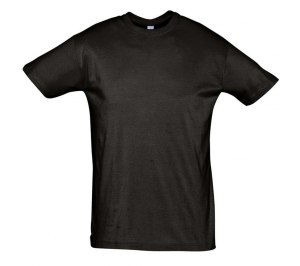 �������� REGENT 150, ������