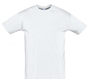 �������� ������� REGENT 150, �����