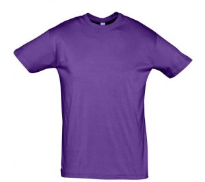 �������� REGENT 150, ����������