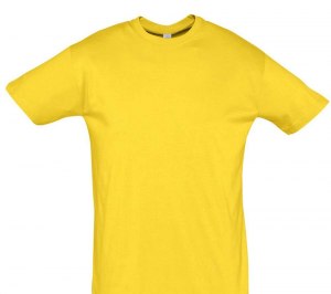 �������� REGENT 150, ������