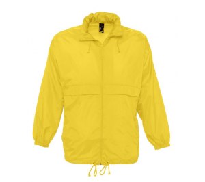 �������� SURF 210, ������