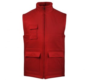 ����� WORKER �������