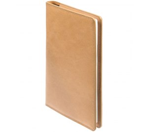 ������������-��������� �������������� Remini, �������