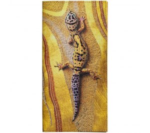 ���������� ��� ����������� �������� �����