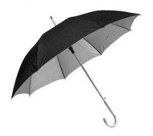 ����-������ � ����������� ������ "��� ��������" "Silver"