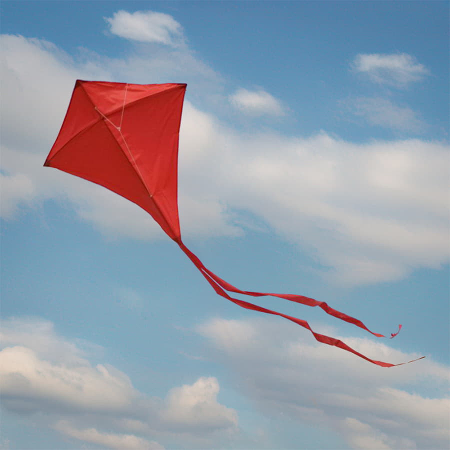 ��������� ���� "����";  �������; 70*60 ��; ���������; �����������