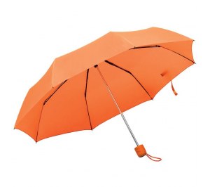 ���� �������� Foldi, ������������, ���������