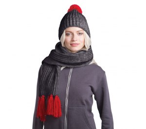 GoSnow, ������� �������� ���� � �����, �������� c ���������� �������