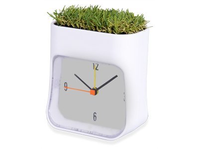 ���� ���������� "Grass"