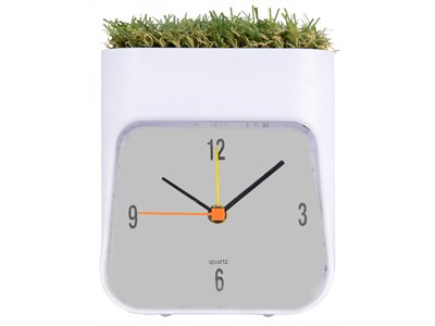 ���� ���������� "Grass"
